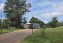 División ómnibus informa los horarios de la Línea N.º 7 por Arenitas Blancas