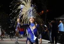 CONCURSO DE ESCUELAS DE SAMBA, COSTANERA NORTE, EL JARDIN DE MOMO