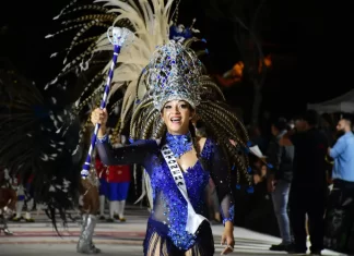 CONCURSO DE ESCUELAS DE SAMBA, COSTANERA NORTE, EL JARDIN DE MOMO