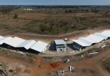 La Central Hortícola del Norte avanza hacia su apertura con 60 puestos ya asignados