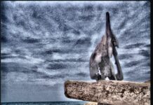 Breve suspiro sobre el escenario