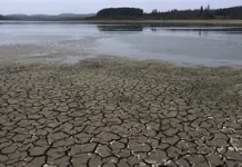 MGAP declara la Emergencia Agropecuaria por déficit hídrico en diversas zonas del país