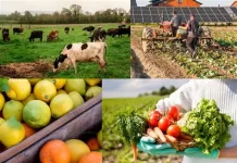 Guerra entre Irán, Estados Unidos e Israel: ¿qué impacto tendría en Uruguay?