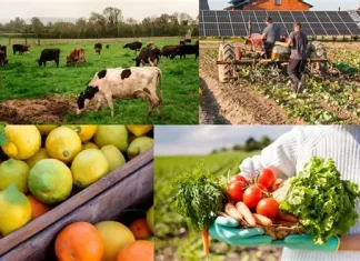 Guerra entre Irán, Estados Unidos e Israel: ¿qué impacto tendría en Uruguay?