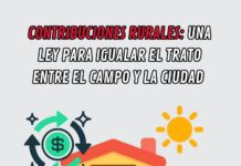 DIPUTADO HORACIO DE BRUM 𝘾𝙊𝙉𝙏𝙍𝙄𝘽𝙐𝘾𝙄𝙊𝙉𝙀𝙎 𝙍𝙐𝙍𝘼𝙇𝙀𝙎 :𝙐𝙉𝘼 𝙇𝙀𝙔 𝙋𝘼𝙍𝘼 𝙄𝙂𝙐𝘼𝙇𝘼𝙍 𝙀𝙇 𝙏𝙍𝘼𝙏𝙊 𝙀𝙉𝙏𝙍𝙀 𝙀𝙇 𝘾𝘼𝙈𝙋𝙊 𝙔 𝙇𝘼 𝘾𝙄𝙐𝘿𝘼𝘿💲