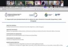Salto presentó ante AUCI y Cooperación Argentina proyecto binacional seleccionado junto a Entre Ríos
