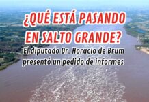 Horacio de Brum: ¿𝙌𝙐É 𝙀𝙎𝙏Á 𝙋𝘼𝙎𝘼𝙉𝘿𝙊 𝙀𝙉 𝙎𝘼𝙇𝙏𝙊 𝙂𝙍𝘼𝙉𝘿𝙀?