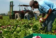 ANDE lanza línea de crédito para apoyar al sector agropecuario ante la suba del combustible