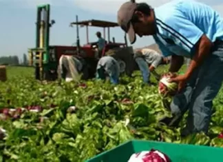 ANDE lanza línea de crédito para apoyar al sector agropecuario ante la suba del combustible