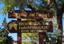 Salto celebra la Semana de Harriague con una nutrida agenda de actividades