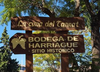 Salto celebra la Semana de Harriague con una nutrida agenda de actividades