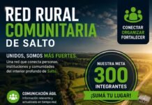 Un agente policial tuvo la idea creó grupo de whatSapp y hoy es una red comunitaria con mas de 200 integrantes