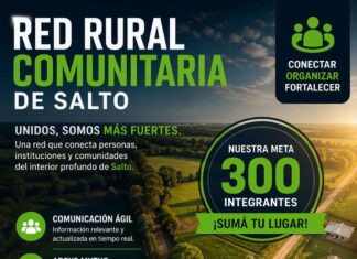 Un agente policial tuvo la idea creó grupo de whatSapp y hoy es una red comunitaria con mas de 200 integrantes