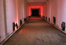 Salto celebra el legado que cambió la historia del vino uruguayo