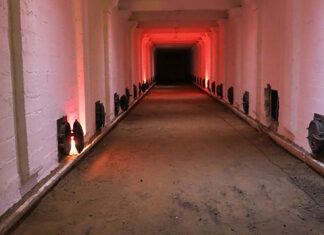 Salto celebra el legado que cambió la historia del vino uruguayo