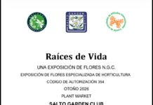 Raíces de Vida: exposición floral y horticultura en Salto
