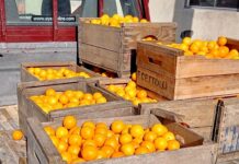 Camposol realizó una donación de naranjas destinada al Sistema de Comedores