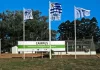 INIA Tacuarembó, jornada sobre Barrenador polífago Euwallacea fornicatus