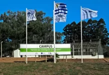 INIA Tacuarembó, jornada sobre Barrenador polífago Euwallacea fornicatus