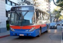 Habrá servicio de ómnibus gratuito para mujeres este domingo por el Día de la Madre