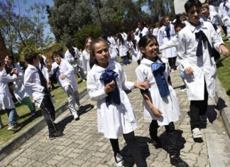 Educación obligatoria perdería casi la mitad de su matrícula en las próximas décadas