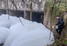 Se realizan análisis para determinar el origen de la espuma detectada en el arroyo Ceibal