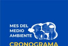 Gobierno de Salto presenta cronograma de actividades por el Mes del Medio Ambiente