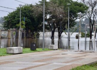 El Río Uruguay comenzó a descender y no se registraron evacuaciones en Salto