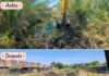 Intendencia avanza con la limpieza y canalización de arroyos y cañadas para mejorar el drenaje