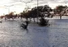 El fenómeno de El Niño en Uruguay: El visitante no deseado que asoma sus narices en nuestro país