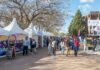 Servicio especial de ómnibus por la Expo Salto 2026