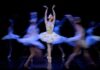 El Ballet Nacional del Sodre presentará “El lago de los cisnes” en el Teatro Larrañaga, el 21 y 22 de octubre