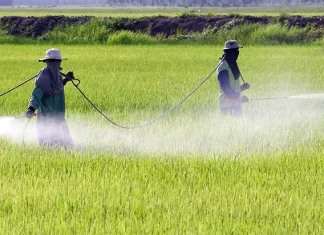 Agrotóxicos en Uruguay: ¿Qué sabemos sobre lo que respiramos, comemos y bebemos?